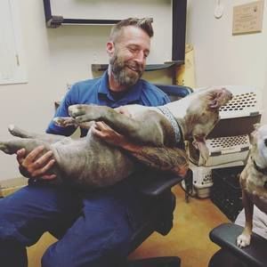 Meet your Posher, Mark